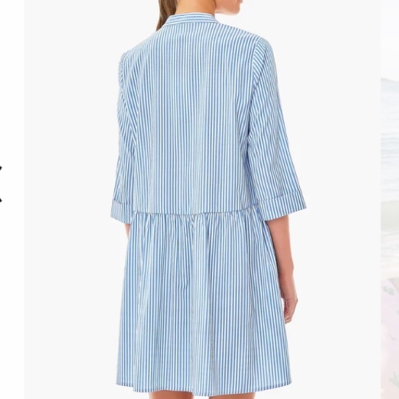 Blue Stripe Royal Shirt Dress TUCKERNUCK - Picture 6 of 13